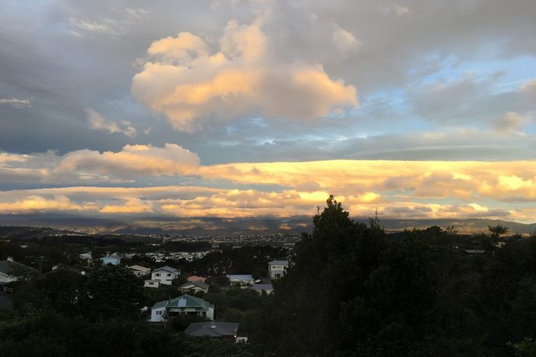 Photo of property in 22 Whaui Street, Vogeltown, Wellington, 6021