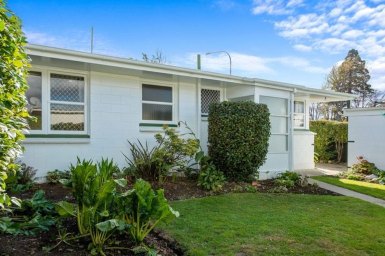 Photo of property in 1/113 Maxwell Road, Blenheim, 7201