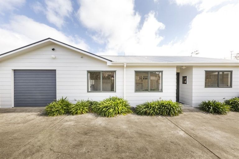 Photo of property in 8a Millar Street, Terrace End, Palmerston North, 4410