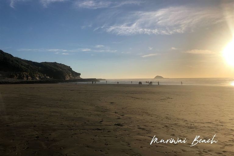 Photo of property in 85 Constable Road, Muriwai, Waimauku, 0881