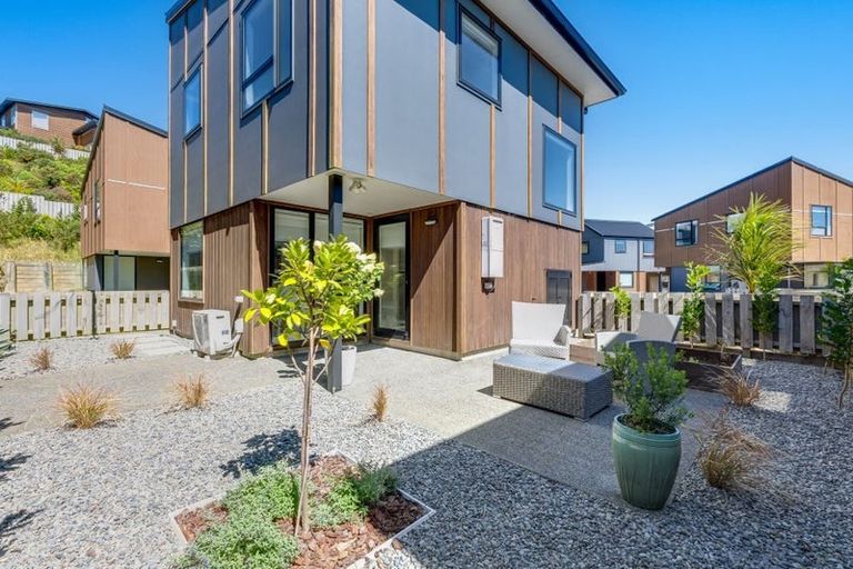 Photo of property in 36 Astelia Way, Woodridge, Wellington, 6037