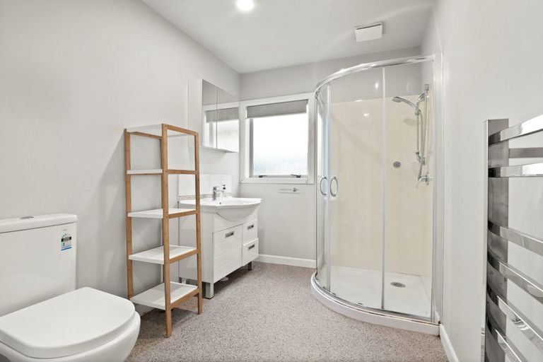 Photo of property in 195 Macandrew Road, South Dunedin, Dunedin, 9012