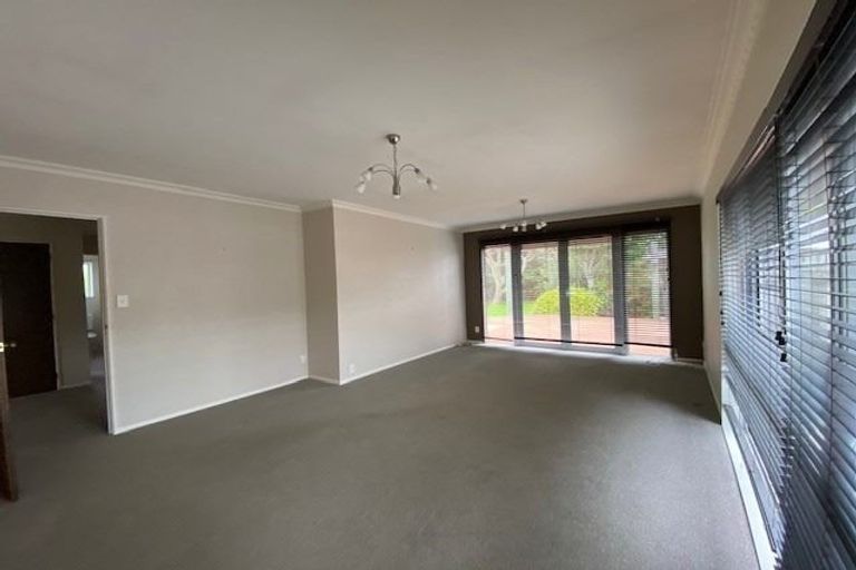 Photo of property in 49 Treadwell Street, Springvale, Whanganui, 4501
