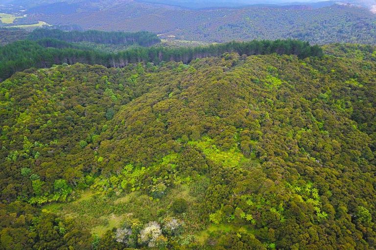 Photo of property in 390 Toatoa Road, Taipa, Kaitaia, 0483