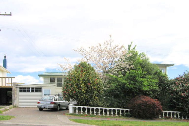 Photo of property in 55 Tamatea Road, Taupo, 3330