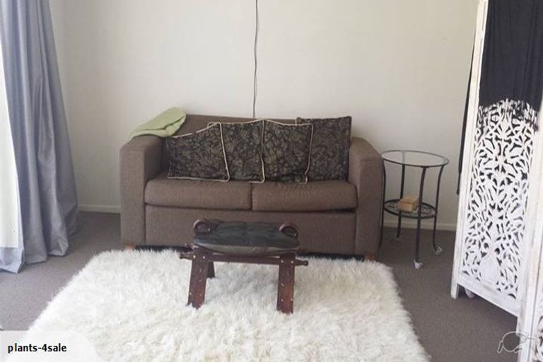 Photo of property in 22a Heath Street, St Andrews, Hamilton, 3200