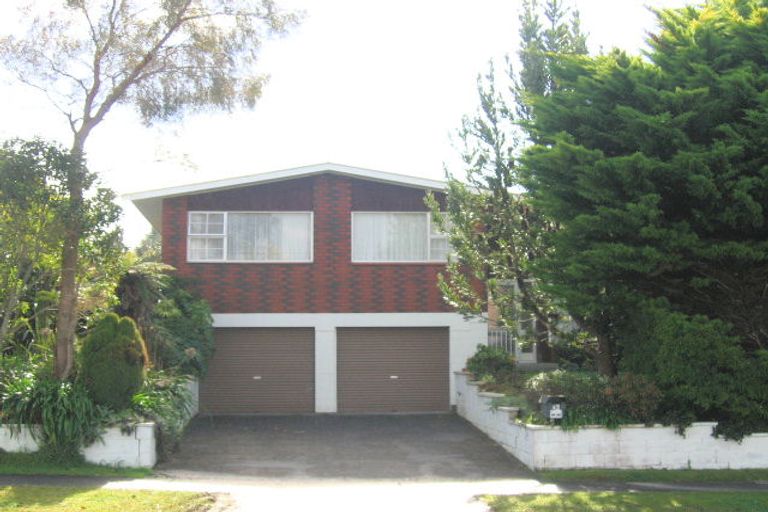 Photo of property in 46 Howell Avenue, Riverlea, Hamilton, 3216