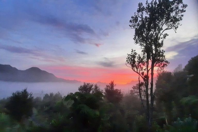 Photo of property in 432 Hikuai Settlement Road, Hikuai, 3579