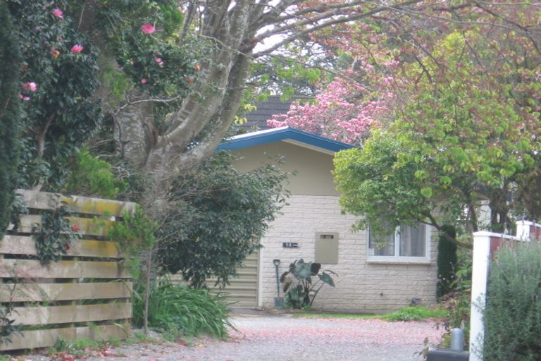 Photo of property in 5b Longwood Lane, Otumoetai, Tauranga, 3110