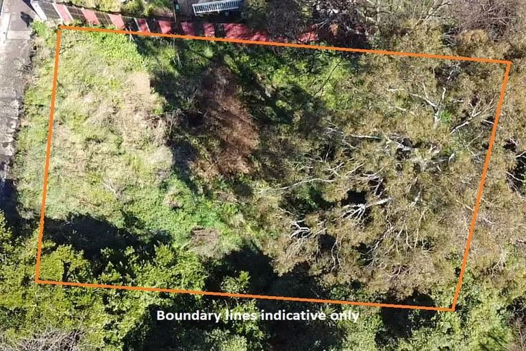 Photo of property in 21 Currie Street, Port Chalmers, 9023