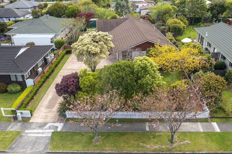 Photo of property in 57 Belvedere Avenue, Waikanae, 5036