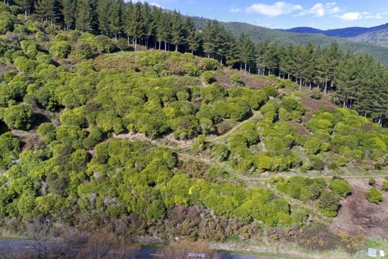 Photo of property in 24 Maori Pa Road, Delaware Bay, Nelson, 7071