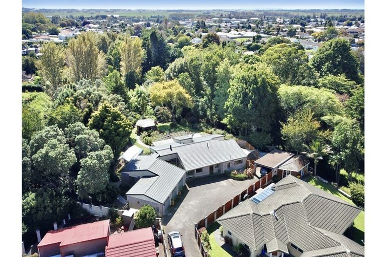 Photo of property in 20 Norrie Street, Te Puke, 3119