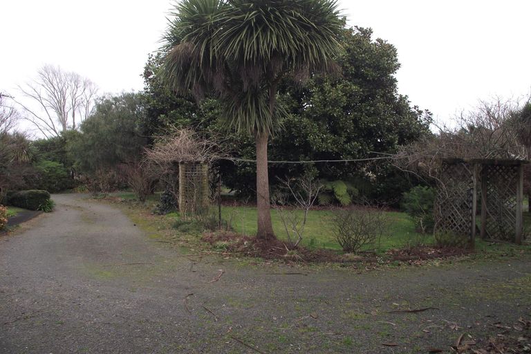 Photo of property in 50 Adams Street, Waihi, 3610