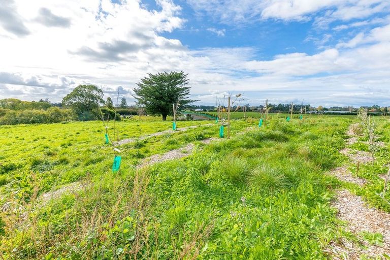 Photo of property in 87 Maori Point Road, Whatawhata, Hamilton, 3285