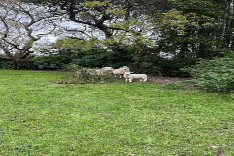 Photo of property in 7 Broomfields Road, Whitford, Howick, 2571