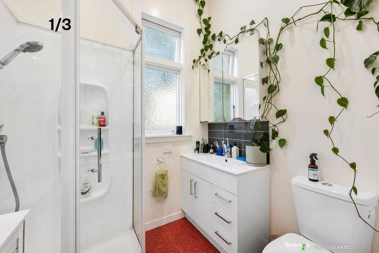 Photo of property in 3 Alameda Terrace, Aro Valley, Wellington, 6021