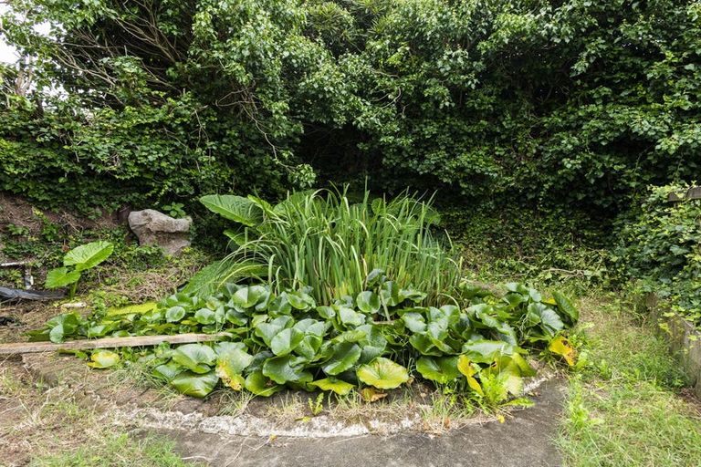 Photo of property in 83 Stout Street, Whataupoko, Gisborne, 4010