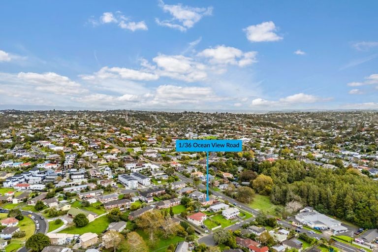 Photo of property in 1/36 Ocean View Road, Northcote, Auckland, 0627