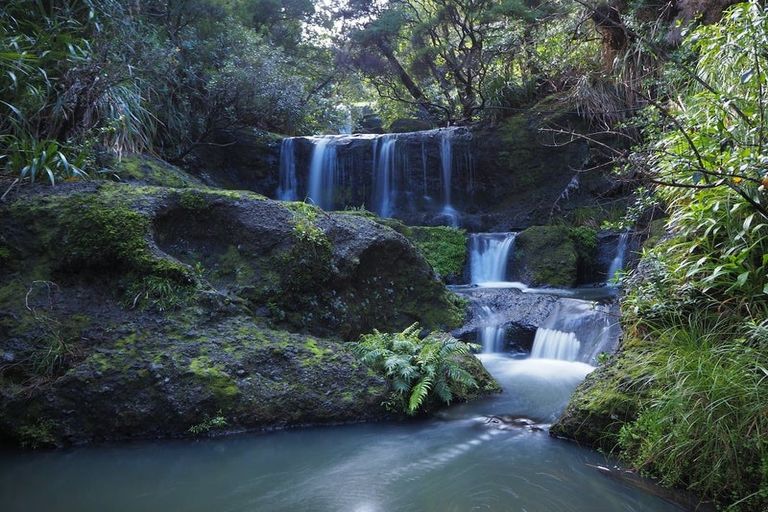 Photo of property in 134 Lone Kauri Road, Karekare, New Lynn, 0772