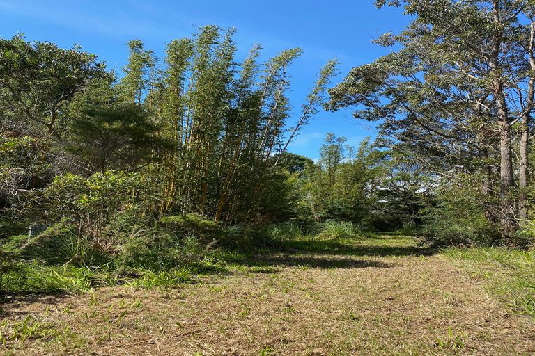 Photo of property in 463 Henderson Bay Road, Houhora, Pukenui, 0484