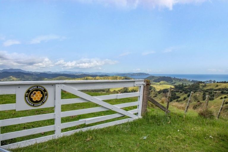 Photo of property in 15 Webb Road, Durie Hill, Whanganui, 4500