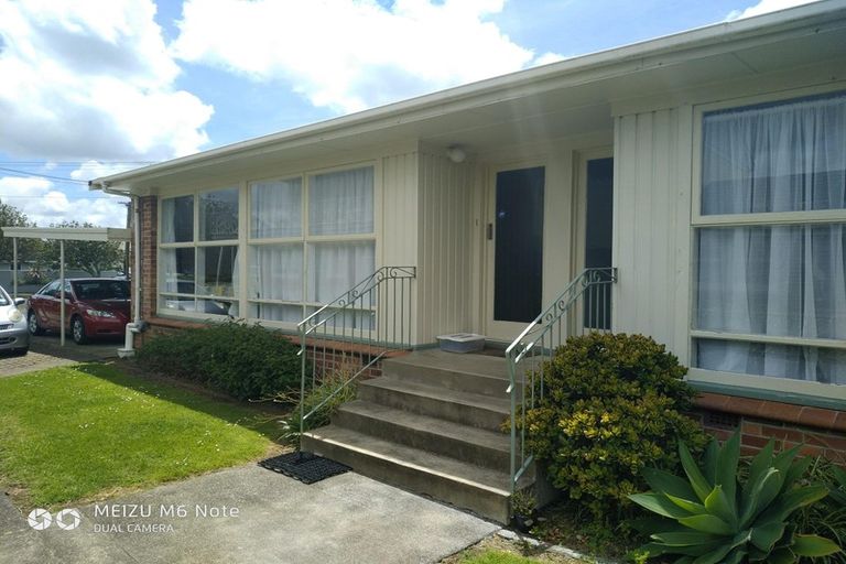 Photo of property in 15 Wainui Avenue, Point Chevalier, Auckland, 1022