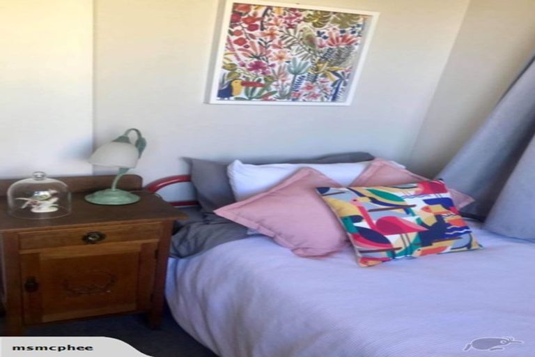 Photo of property in 50 Baldwin Street, North East Valley, Dunedin, 9010