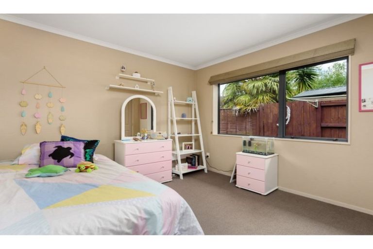 Photo of property in 117 Hollister Lane, Ohauiti, Tauranga, 3112