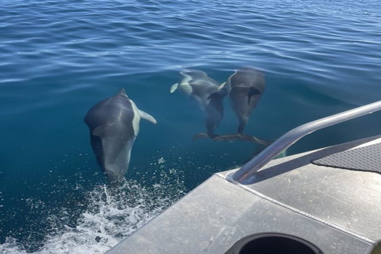 Photo of property in 73 Shoal Beach Road, Aramoana, Omakere, 4271