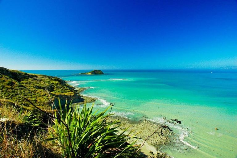 Photo of property in 15 Wallis Road, Kaiti, Gisborne, 4010