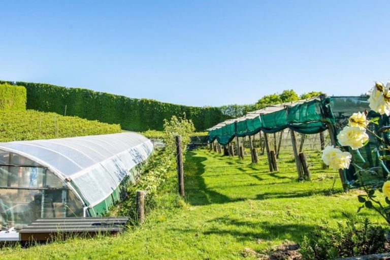 Photo of property in 825 Pyes Pa Road, Pyes Pa, Tauranga, 3173