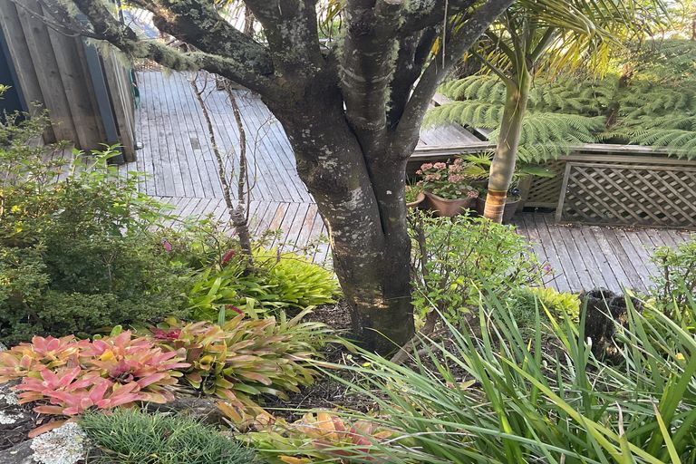 Photo of property in 18 Beach Street, Sandspit, Warkworth, 0982