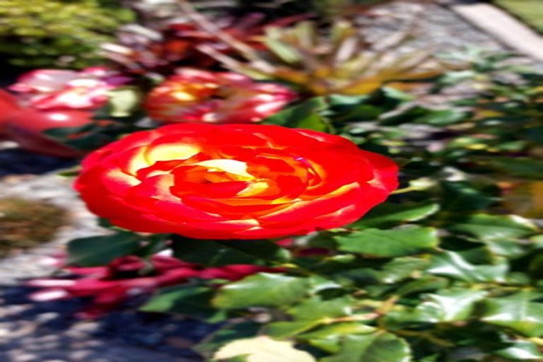 Photo of property in 5 Havenbrook Way, Pyes Pa, Tauranga, 3112