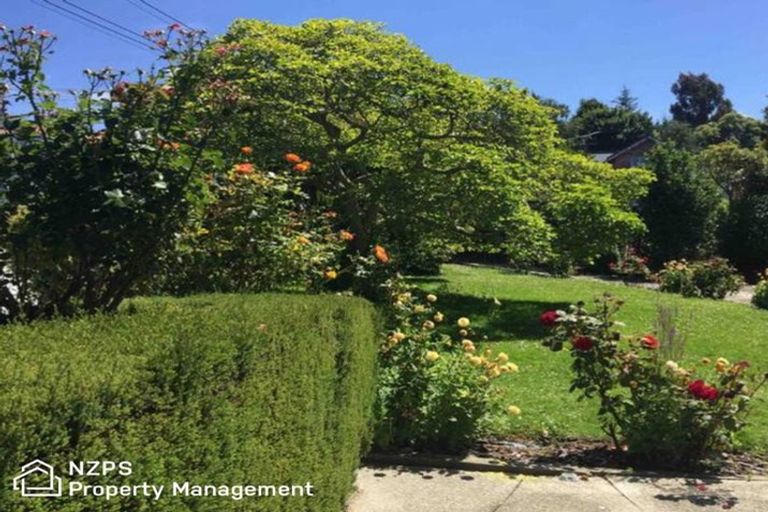 Photo of property in 67a Manor Place, Dunedin Central, Dunedin, 9016