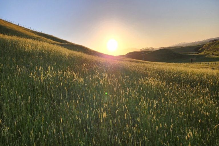 Photo of property in 964 Tarata Road, Kaimata, 4387