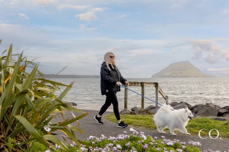 Photo of property in 46 Harbour Drive, Otumoetai, Tauranga, 3110