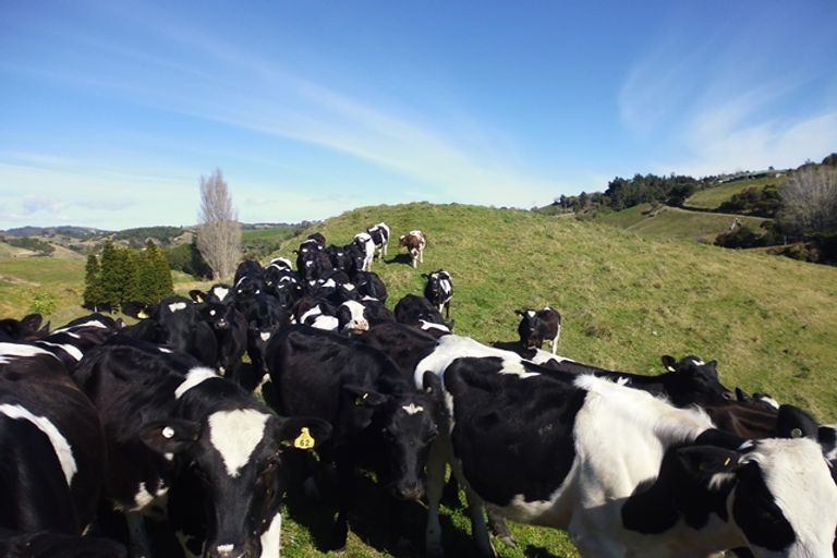 Photo of property in 871a Wainui Road, Wainui, Whakatane, 3198