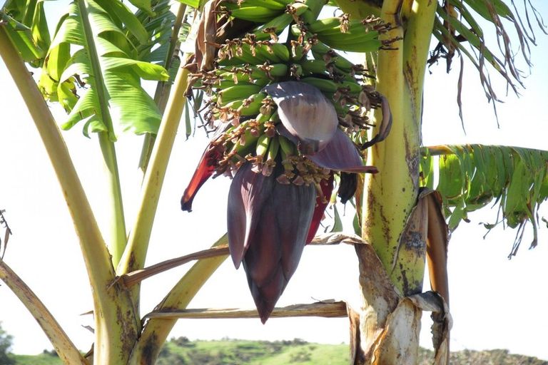 Photo of property in 80 Apatu Street, Wairoa, 4108