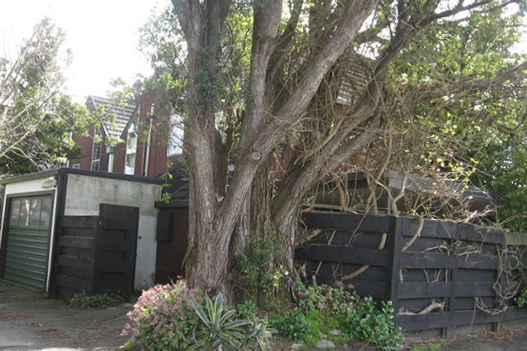 Photo of property in 2/341 College Street, West End, Palmerston North, 4410