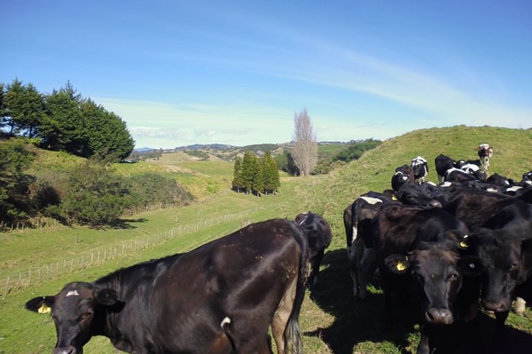 Photo of property in 871a Wainui Road, Wainui, Whakatane, 3198