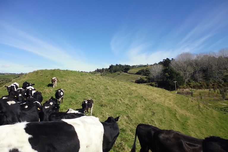 Photo of property in 871a Wainui Road, Wainui, Whakatane, 3198