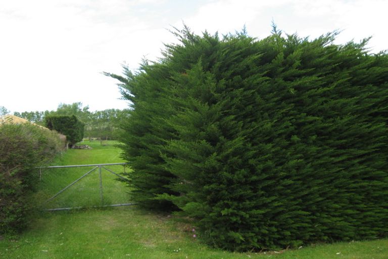 Photo of property in 67 Douglas Road, Amberley, 7410