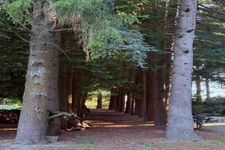 Photo of property in 206 Beach Road East, Elgin, Ashburton, 7777