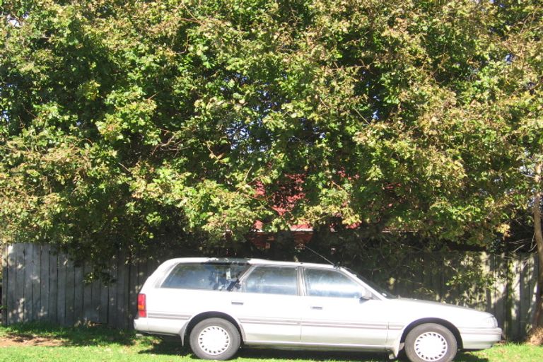 Photo of property in 20 Savoy Road, Glen Eden, Auckland, 0602