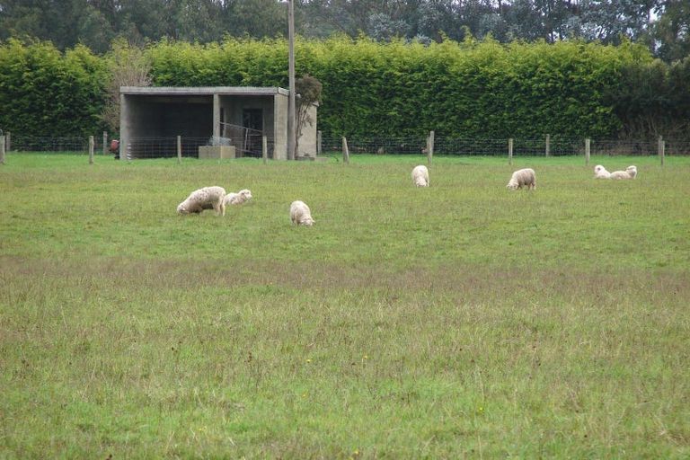 Photo of property in 286 Bay Road, West Plains, Invercargill, 9879