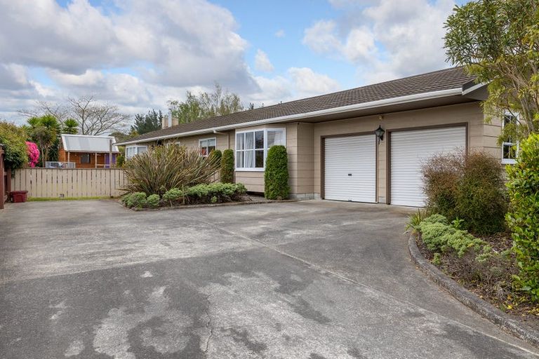 Photo of property in 29 Oak Street, Masterton, 5810