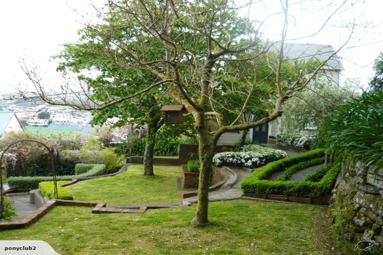 Photo of property in 117 Mein Street, Newtown, Wellington, 6021