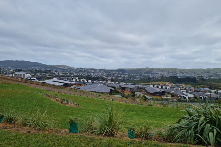 Photo of property in 38 Astelia Way, Woodridge, Wellington, 6037