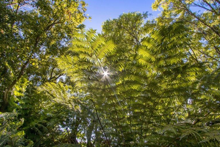 Photo of property in 136c Bradford Street, Waihi, 3610